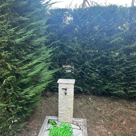 Sea Side Lura 3 * דורס